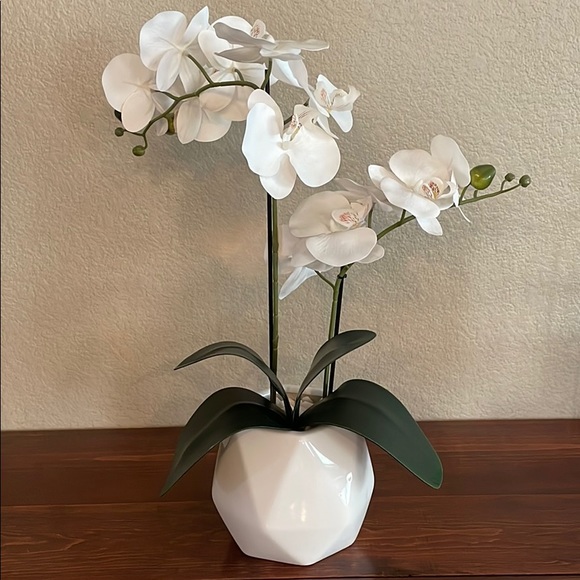 jcolio12